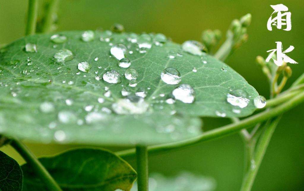 雨水！